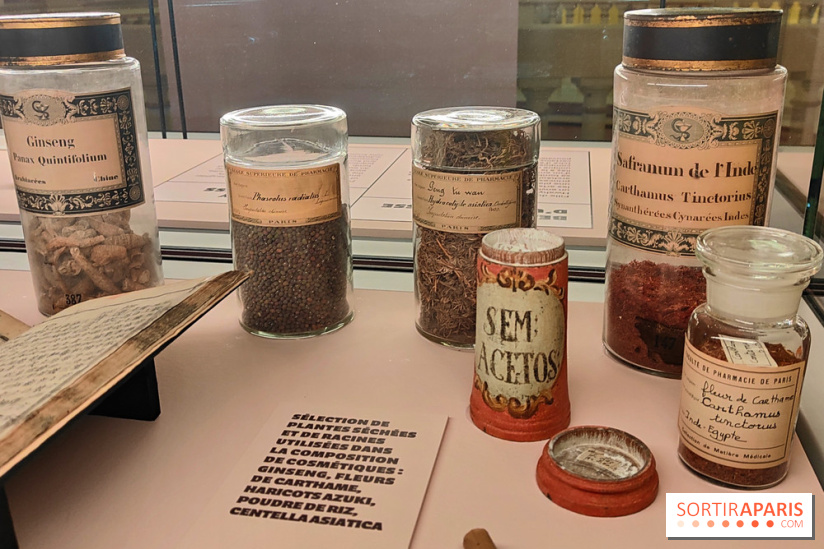K-Beauty au musée Guimet : l'exposition sur la beauté en Corée du Sud se dévoile en images