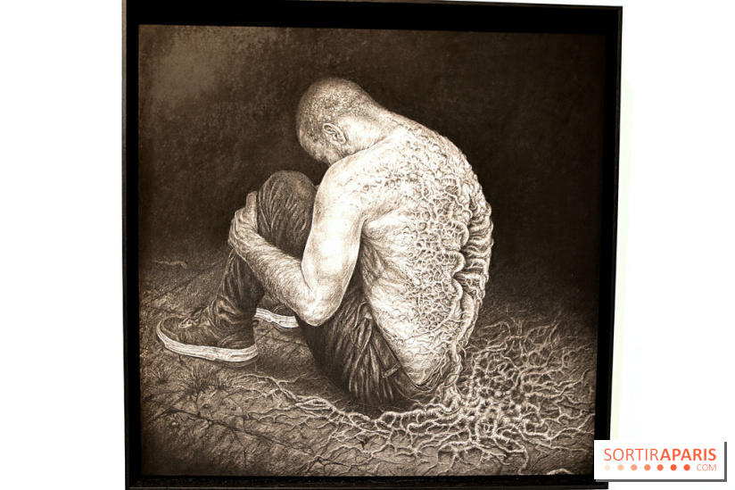 Street Nature Forte 2026, nos photos de l'expo à découvrir dans le 10e à Paris