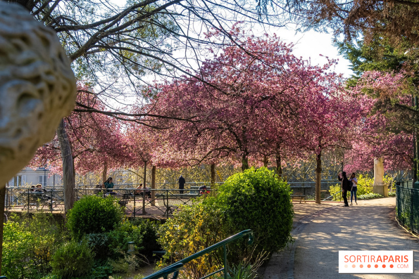 Les pommiers et cerisiers en fleurs du Jardin de Reuilly, Parc de Reuilly à Paris 12e - photos