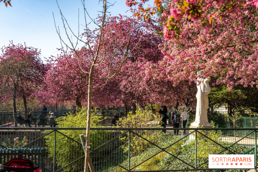 Les pommiers et cerisiers en fleurs du Jardin de Reuilly, Parc de Reuilly à Paris 12e - photos