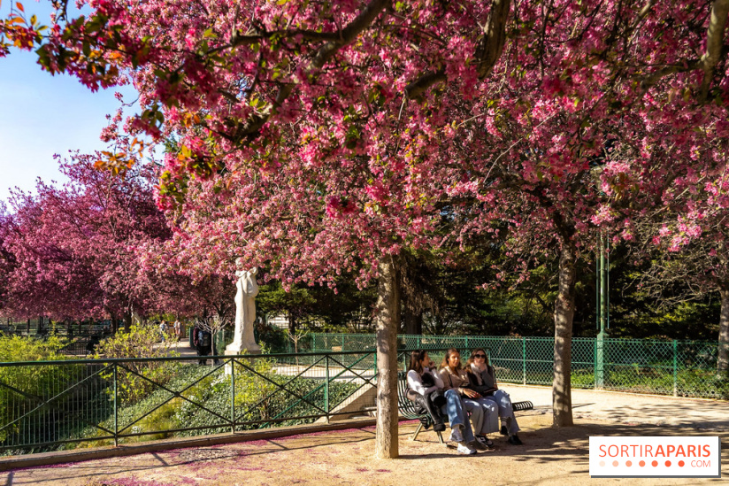 Les pommiers et cerisiers en fleurs du Jardin de Reuilly, Parc de Reuilly à Paris 12e - photos