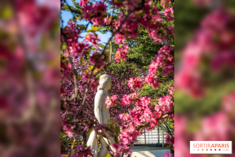 Les pommiers et cerisiers en fleurs du Jardin de Reuilly, Parc de Reuilly à Paris 12e - photos