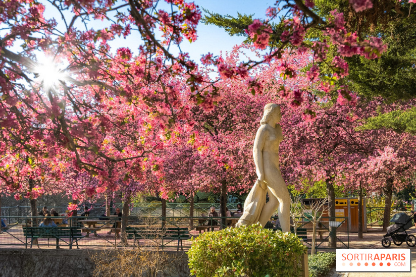 Les pommiers et cerisiers en fleurs du Jardin de Reuilly, Parc de Reuilly à Paris 12e - photos  - visuel
