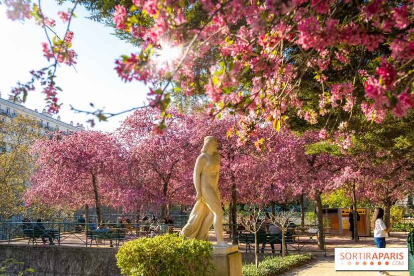 Les pommiers et cerisiers en fleurs du Jardin de Reuilly, Parc de Reuilly à Paris 12e - photos  - visuel