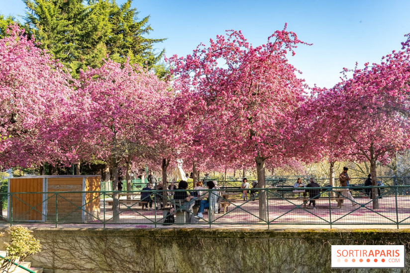 Les pommiers et cerisiers en fleurs du Jardin de Reuilly, Parc de Reuilly à Paris 12e - photos  - table pique nique 