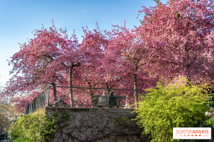 Les pommiers et cerisiers en fleurs du Jardin de Reuilly, Parc de Reuilly à Paris 12e - photos