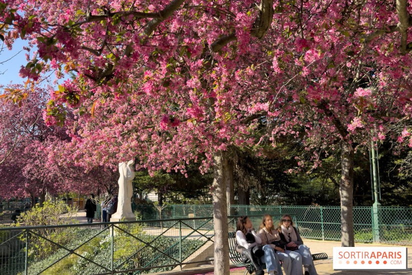 Les pommiers et cerisiers en fleurs du Jardin de Reuilly, Parc de Reuilly à Paris 12e - photos  - copine
