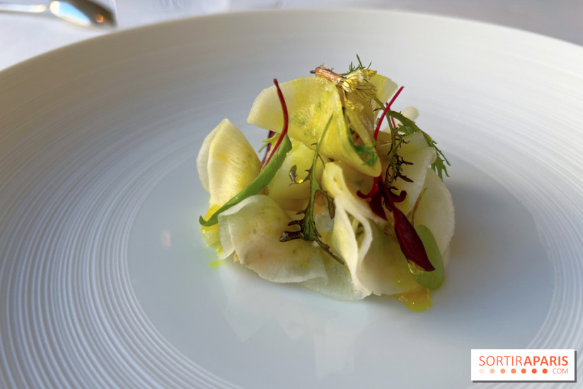 Alliance - Tourteau en fine raviole de radis, mayonnaise maison, huile curry, pomme verte 