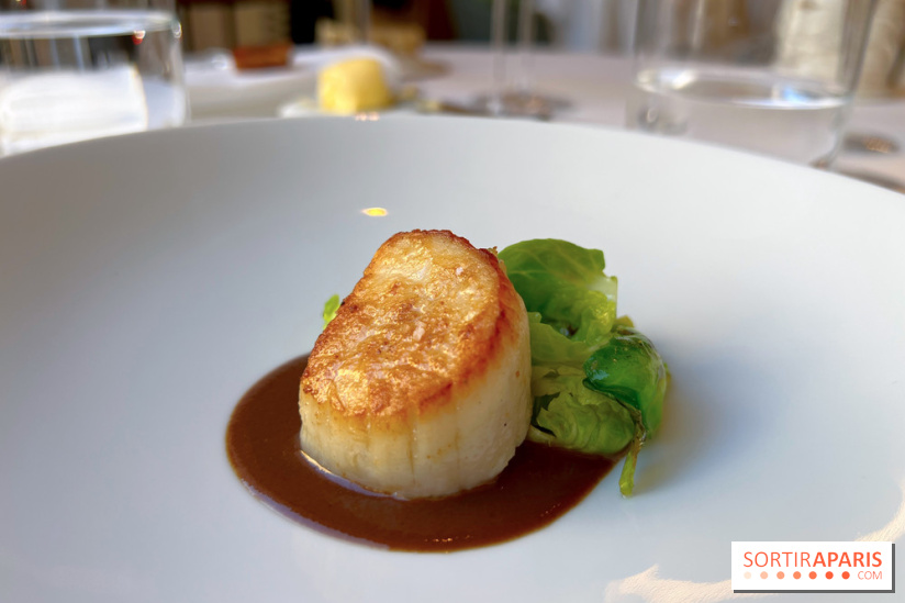 Alliance - Noix de Saint-Jacques à l'unilatéral, chou de Bruxelles, sauce réduite au vin rouge et barbes 