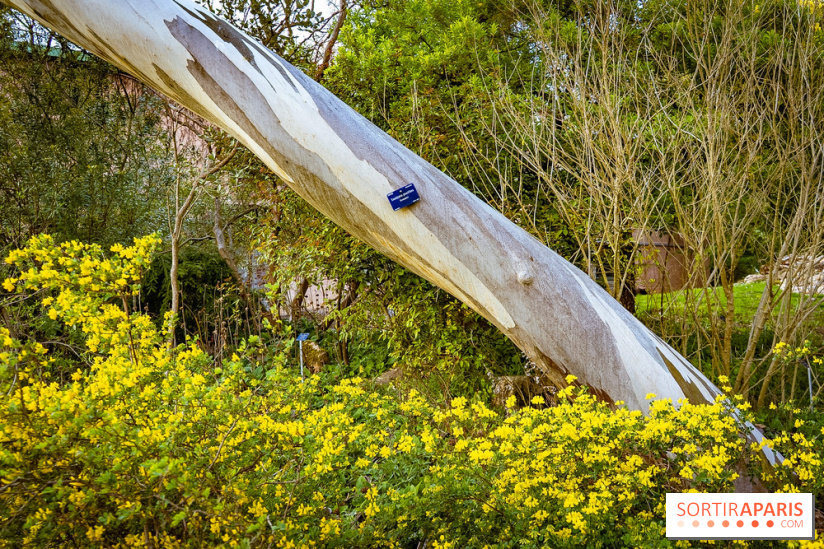 Le jardin botanique de Launay et arboretum de l'Université Paris Saclay à Orsay - les photos
