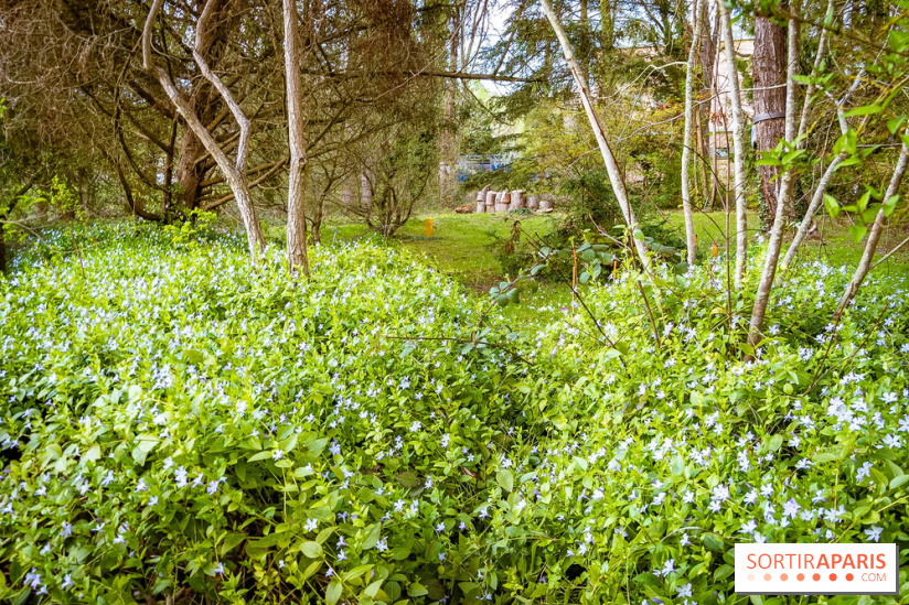 Le jardin botanique de Launay et arboretum de l'Université Paris Saclay à Orsay - les photos