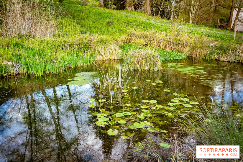 Le jardin botanique de Launay et arboretum de l'Université Paris Saclay à Orsay - les photos