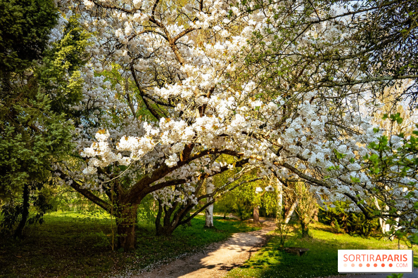 Le jardin botanique de Launay et arboretum de l'Université Paris Saclay à Orsay - les photos