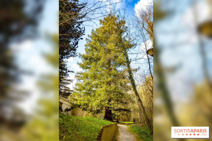Le jardin botanique de Launay et arboretum de l'Université Paris Saclay à Orsay - les photos