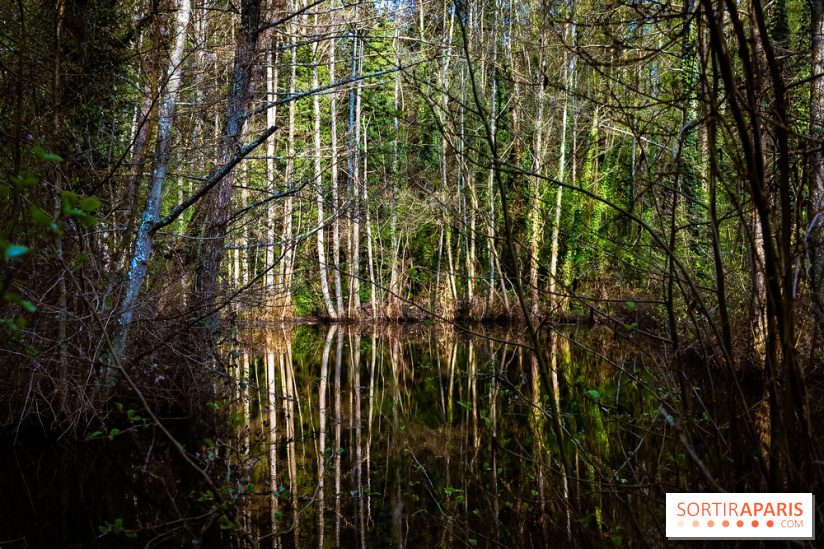 Le jardin botanique de Launay et arboretum de l'Université Paris Saclay à Orsay - les photos - A7C09596