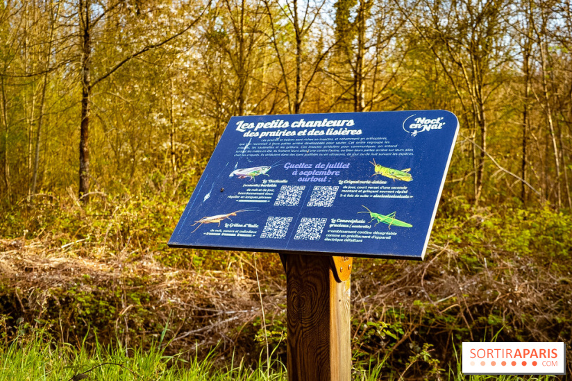 Le jardin botanique de Launay et arboretum de l'Université Paris Saclay à Orsay - les photos - A7C09600