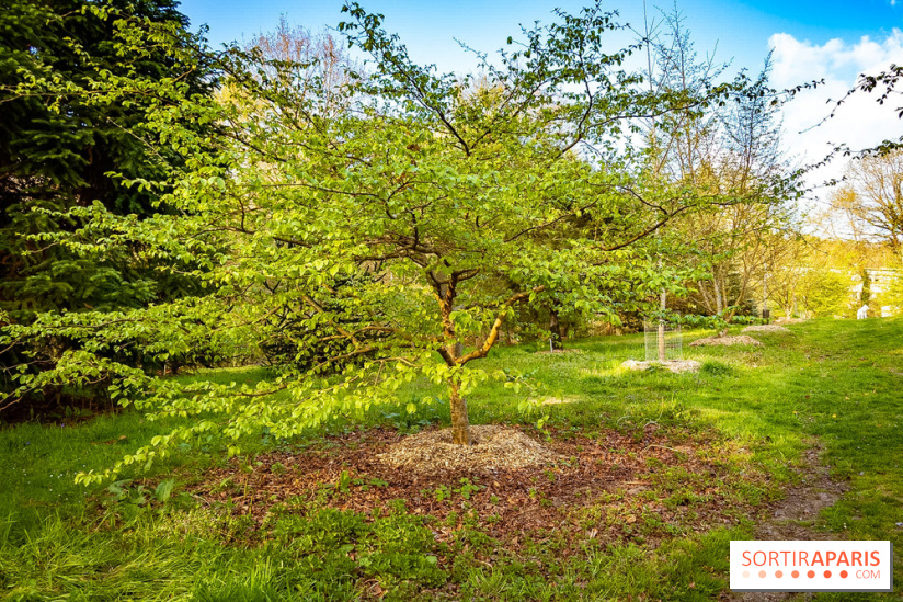 Le jardin botanique de Launay et arboretum de l'Université Paris Saclay à Orsay - les photos