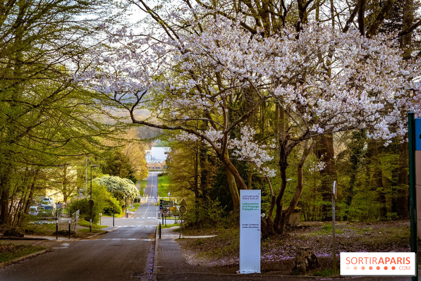Le jardin botanique de Launay et arboretum de l'Université Paris Saclay à Orsay - les photos