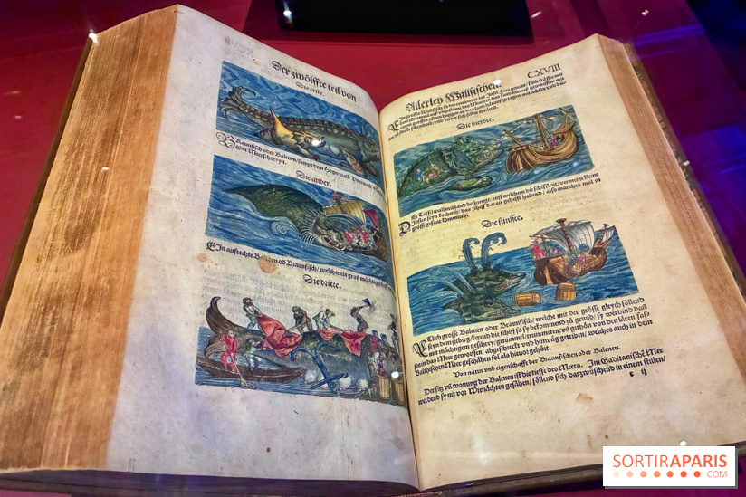 Cartes imaginaires - IMG 4292