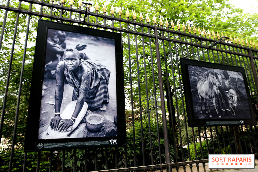 Fragilités & Résiliences, nos photos de l'expo dévoilée sur les grilles du Jardin du Luxembourg