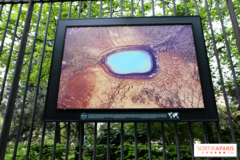 Fragilités & Résiliences, nos photos de l'expo dévoilée sur les grilles du Jardin du Luxembourg