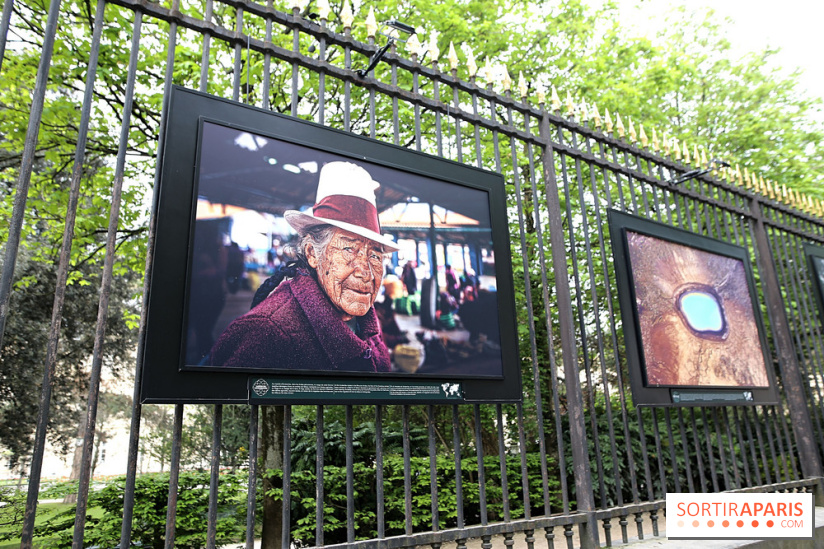 Fragilités & Résiliences, nos photos de l'expo dévoilée sur les grilles du Jardin du Luxembourg