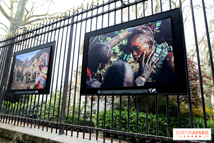 Fragilités & Résiliences, nos photos de l'expo dévoilée sur les grilles du Jardin du Luxembourg