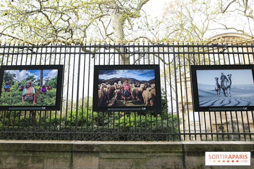 Fragilités & Résiliences, nos photos de l'expo dévoilée sur les grilles du Jardin du Luxembourg