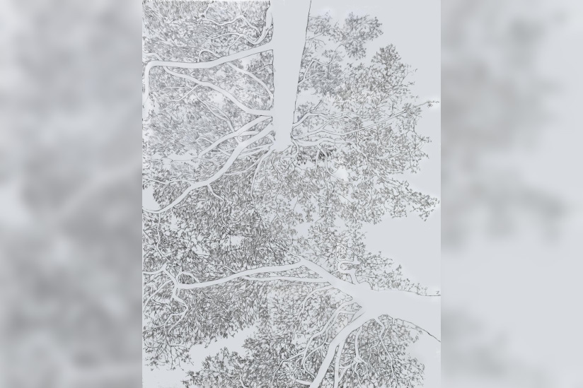 Souffle de fer - WhatsApp Image 2026 03 27 at 19.02.05 — копия