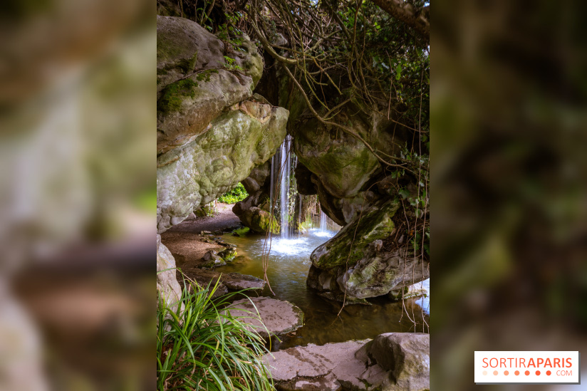 Le Parc de Bagatelle au printemps, cerisier, tulipes et jonquilles - photos - A7C00672