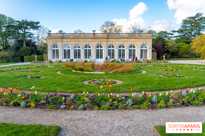 Le Parc de Bagatelle au printemps, cerisier, tulipes et jonquilles - photos