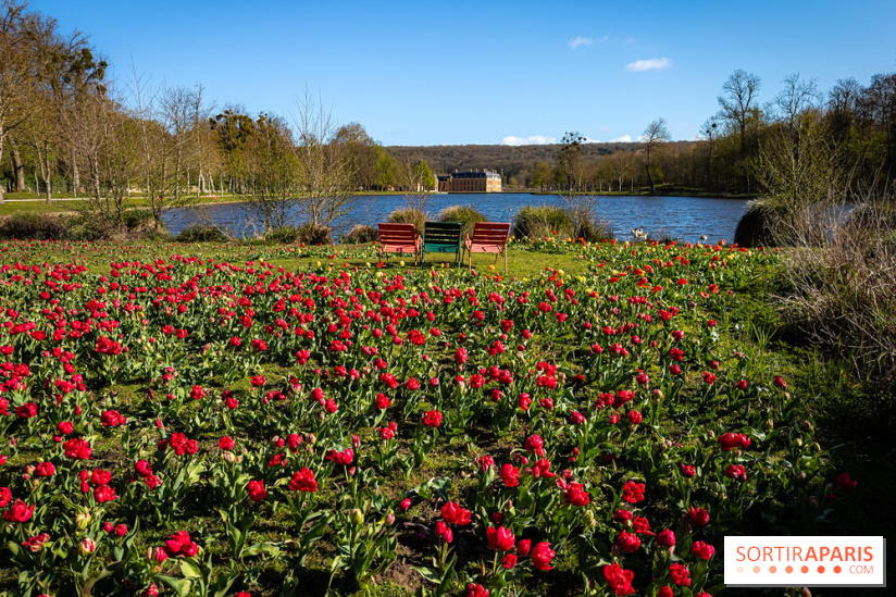 Les tulipes du Château de Dampierre, son jardin anglais et le jardin Le Nôtre