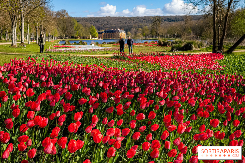 Les tulipes du Château de Dampierre, son jardin anglais et le jardin Le Nôtre