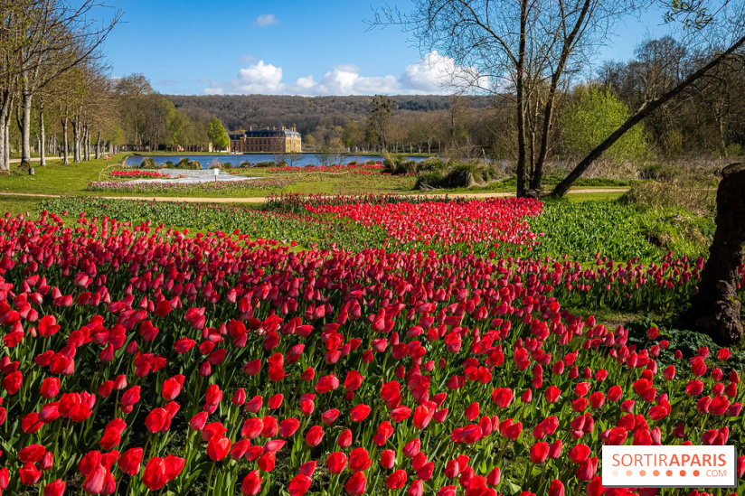 Les tulipes du Château de Dampierre, son jardin anglais et le jardin Le Nôtre