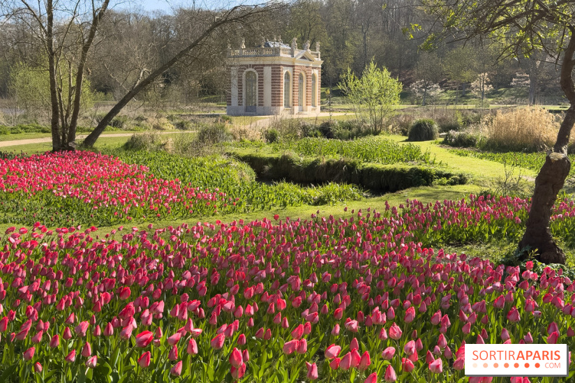 Les tulipes du Château de Dampierre, son jardin anglais et le jardin Le Nôtre