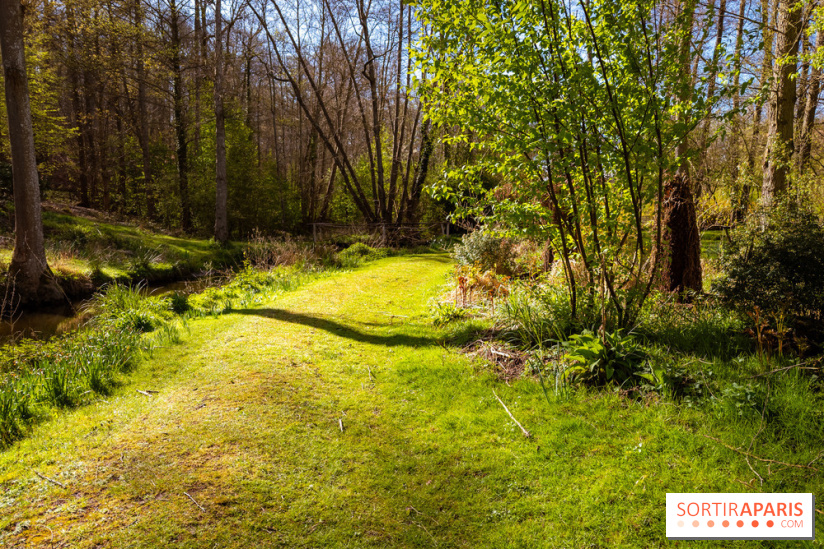 Les tulipes du Château de Dampierre, son jardin anglais et le jardin Le Nôtre - IMG 2932