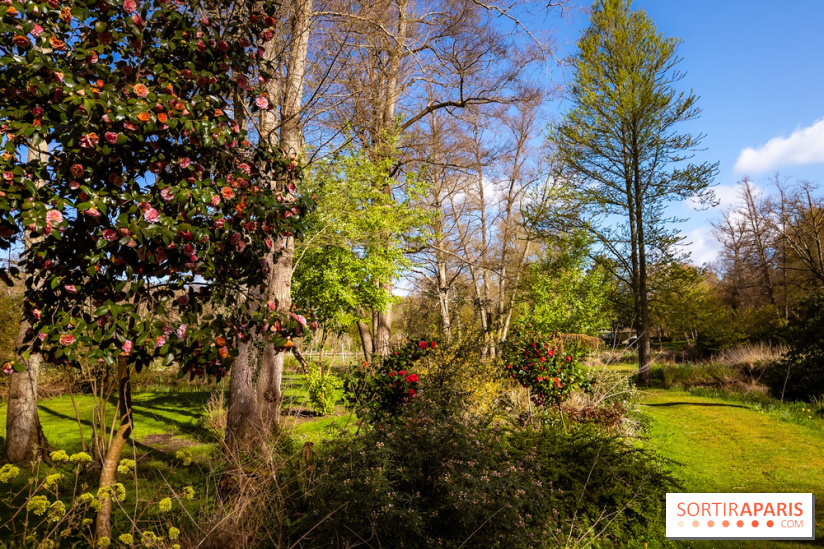 Les tulipes du Château de Dampierre, son jardin anglais et le jardin Le Nôtre - IMG 2937