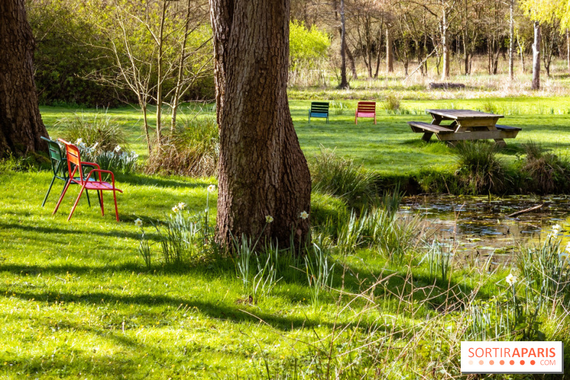Les tulipes du Château de Dampierre, son jardin anglais et le jardin Le Nôtre - IMG 2938