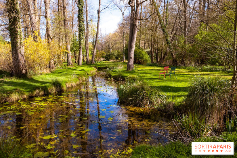 Les tulipes du Château de Dampierre, son jardin anglais et le jardin Le Nôtre - IMG 2947