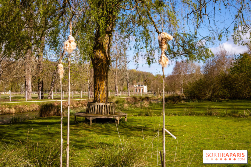 Les tulipes du Château de Dampierre, son jardin anglais et le jardin Le Nôtre - IMG 2950