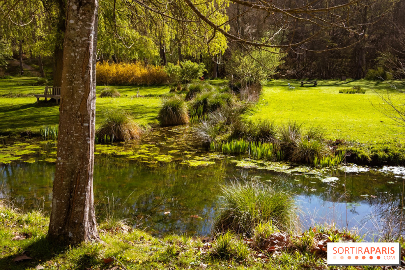 Les tulipes du Château de Dampierre, son jardin anglais et le jardin Le Nôtre - IMG 2953