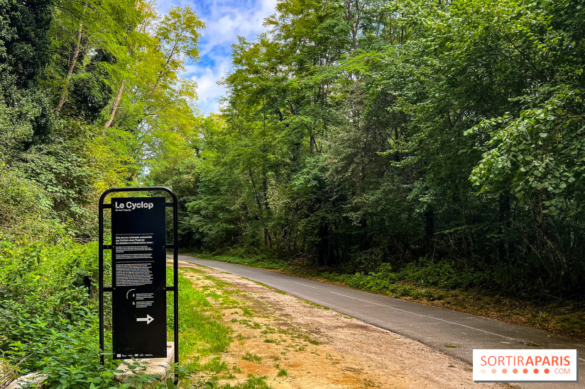 Le Cyclop, le géant d’acier caché dans les bois de Milly-la-Forêt - IMG 5815