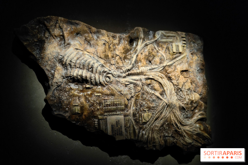 Les Extatiques souterrains : un parcours artistique introspectif sous la Grande arche de La Défense - fotor 1775122120427