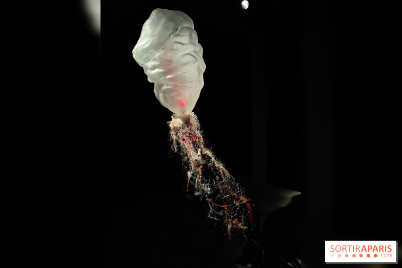 Les Extatiques souterrains : un parcours artistique introspectif sous la Grande arche de La Défense - fotor 1775122156649