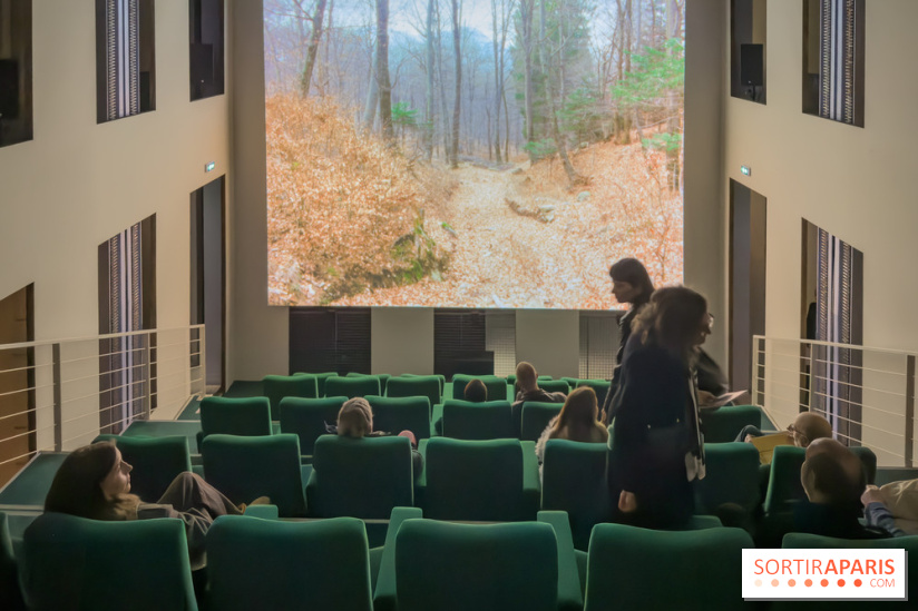 Expositions Diego Marcon et Ladji Diaby à Lafayette Anticipations - IMG 5538