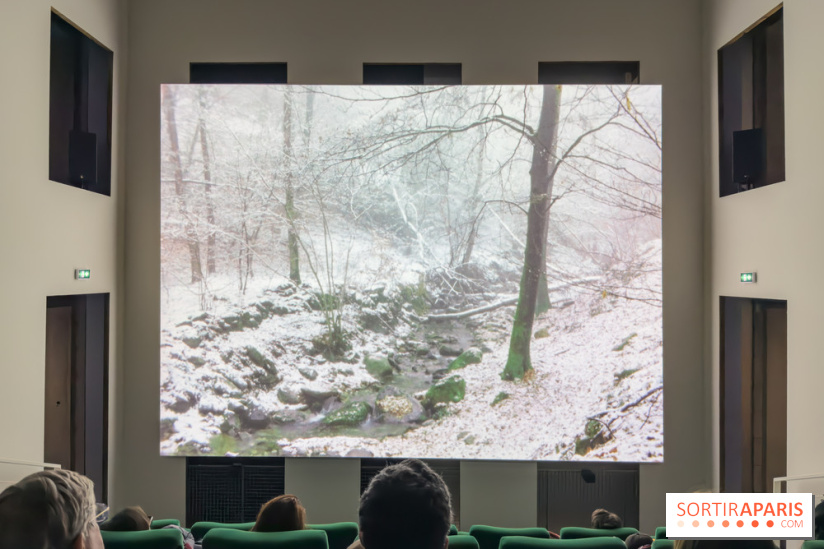 Expositions Diego Marcon et Ladji Diaby à Lafayette Anticipations - IMG 5552