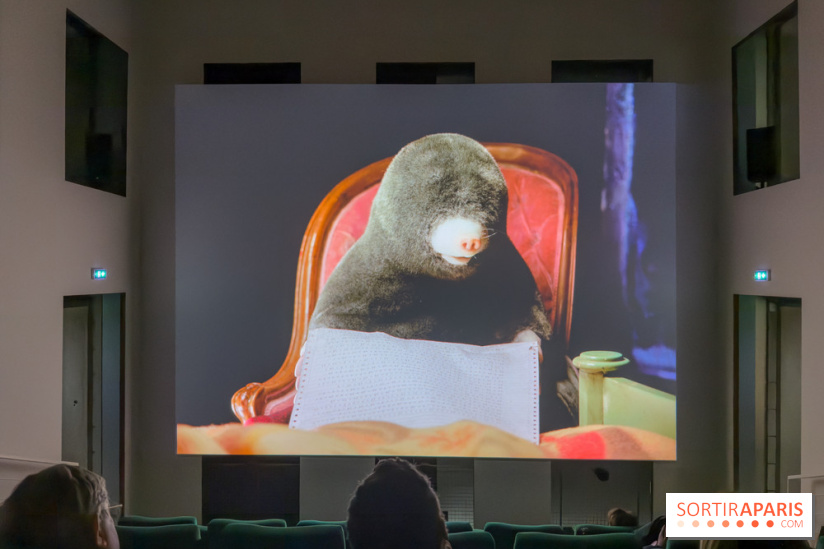 Expositions Diego Marcon et Ladji Diaby à Lafayette Anticipations - IMG 5562