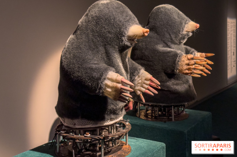 Expositions Diego Marcon et Ladji Diaby à Lafayette Anticipations - IMG 5567