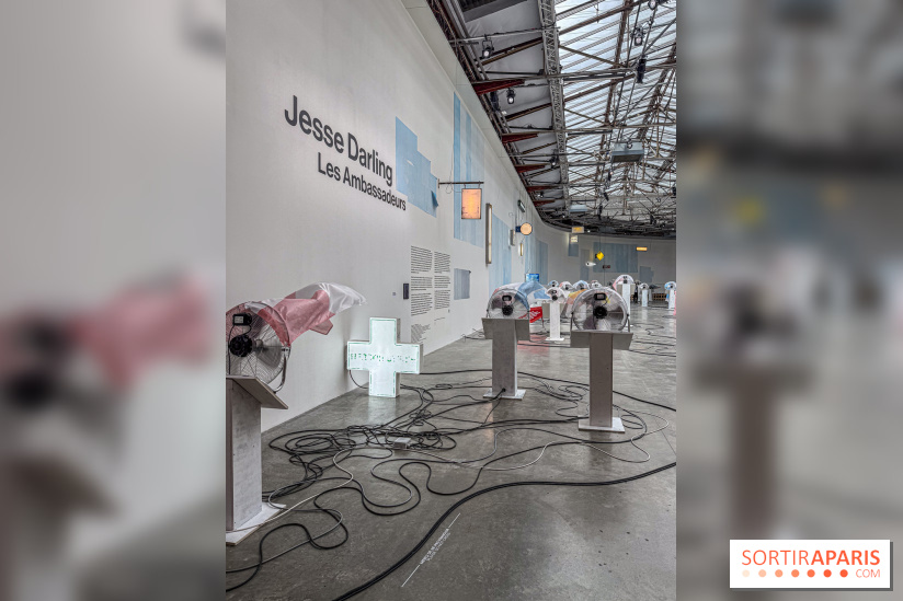 Jesse Darling au Palais de Tokyo : une exposition entre mémoire et récits oubliés - IMG 5839