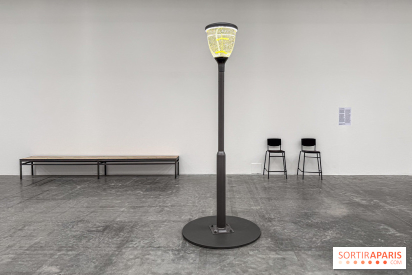 Benoît Piéron au Palais de Tokyo : une exposition sur le soin et la vulnérabilité - IMG 5868